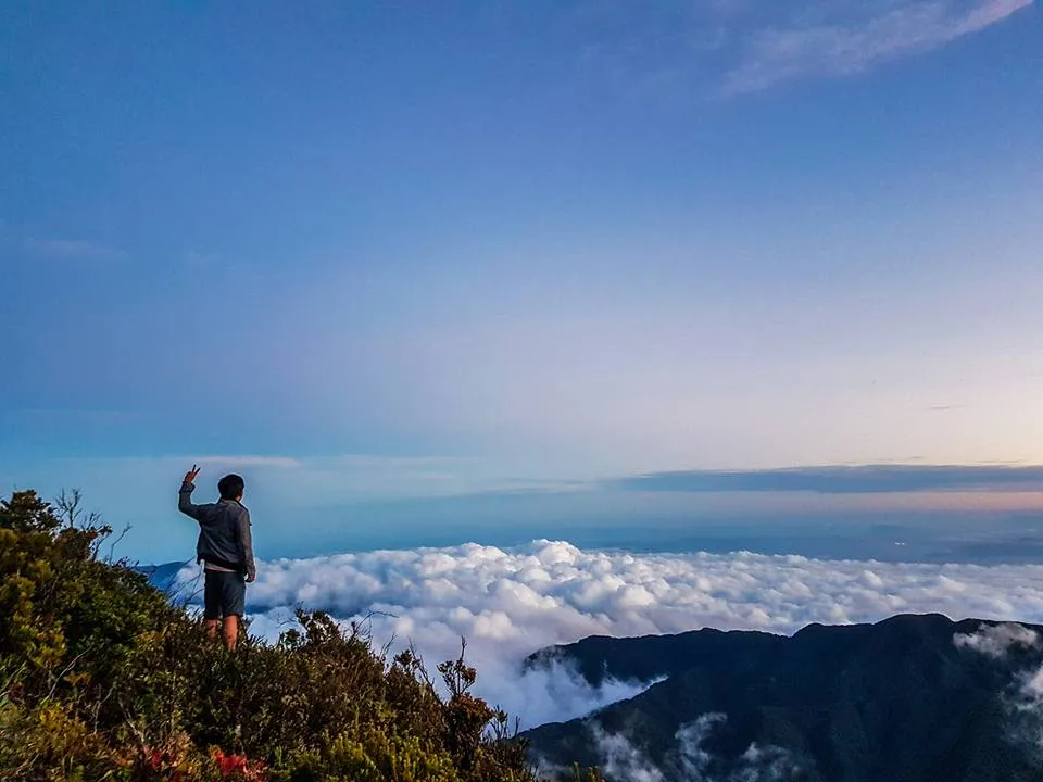 Mt. Halcon summit