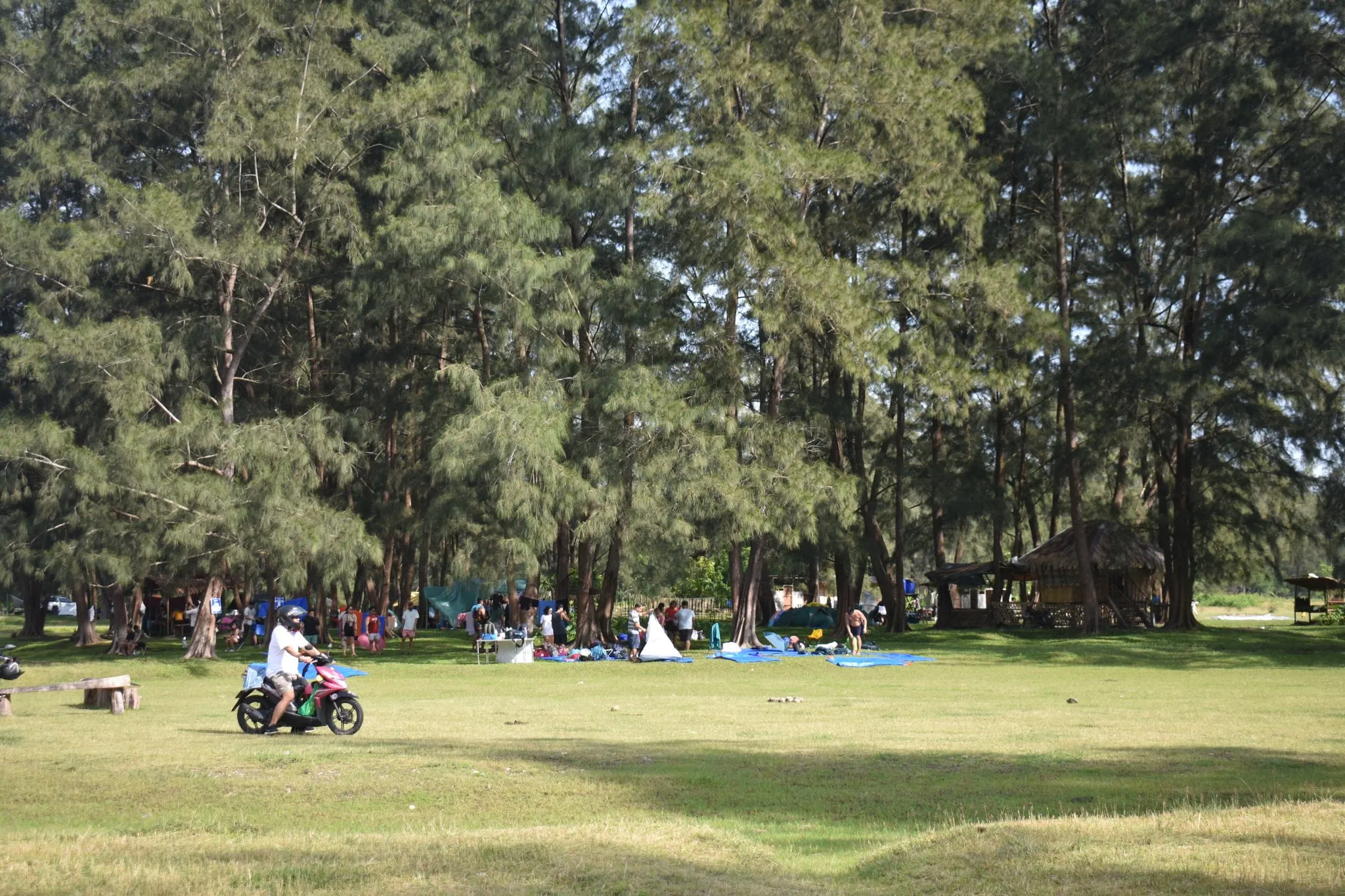 Lake Mapanuepe Zambales