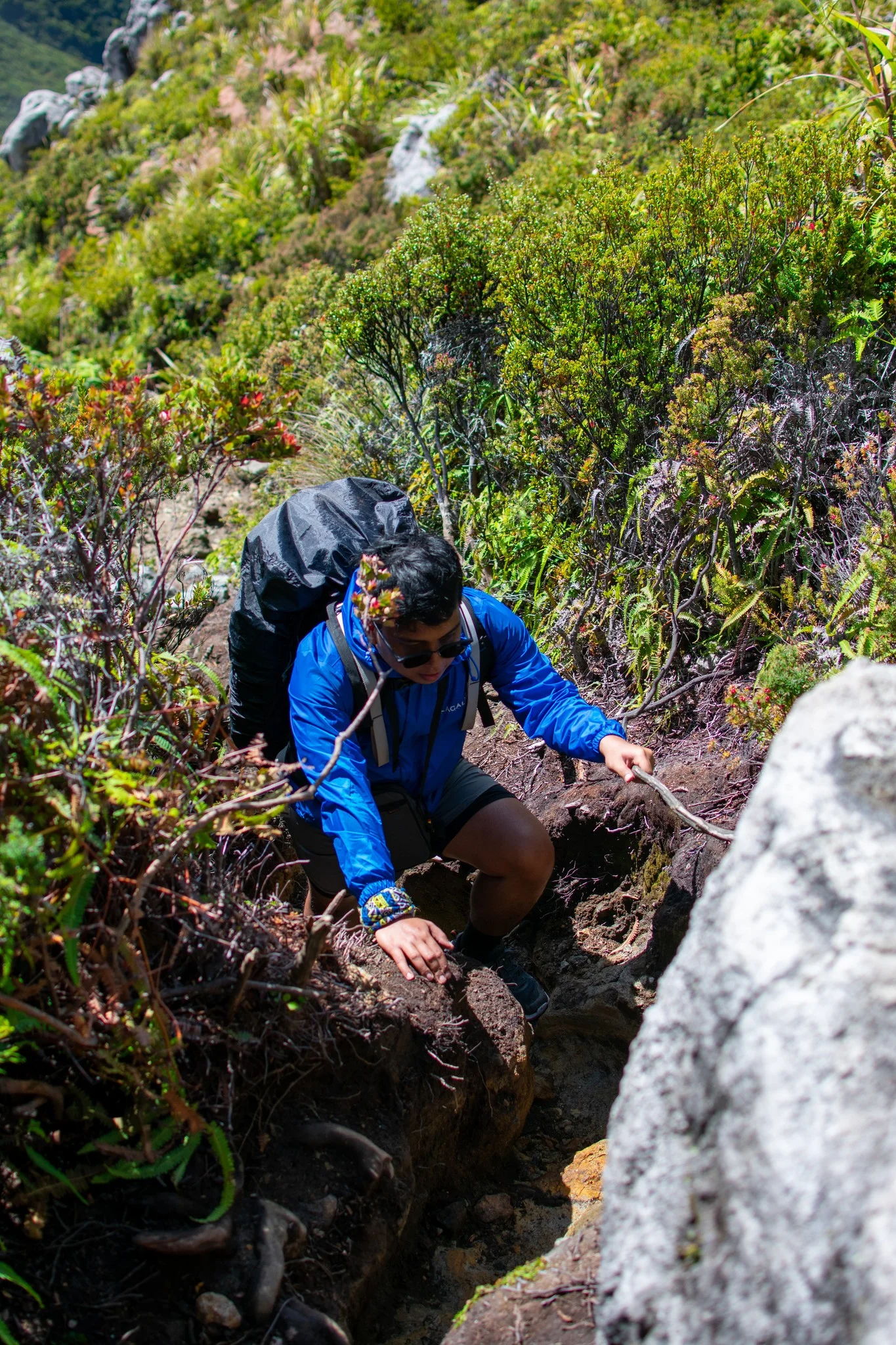 mt apo