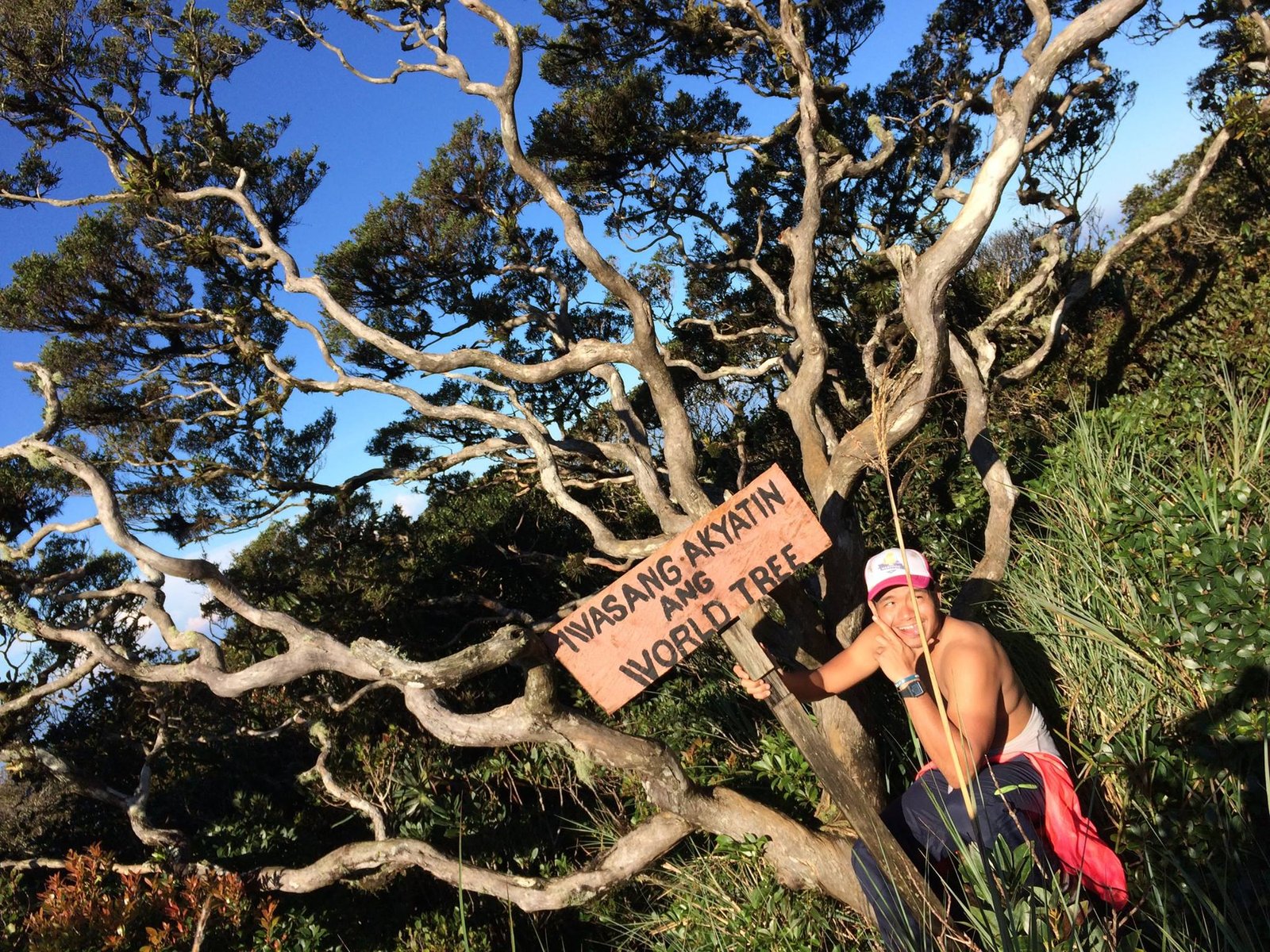 Mt. Tapulao Summit