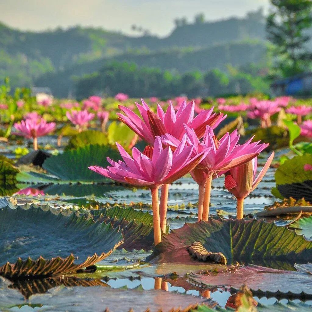 lake sebu philippines