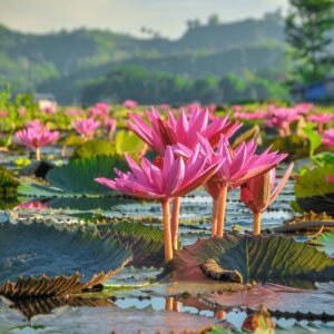 lake sebu south cotabato