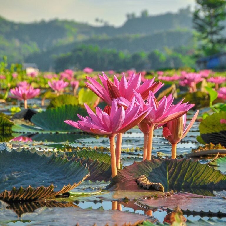 lake sebu south cotabato