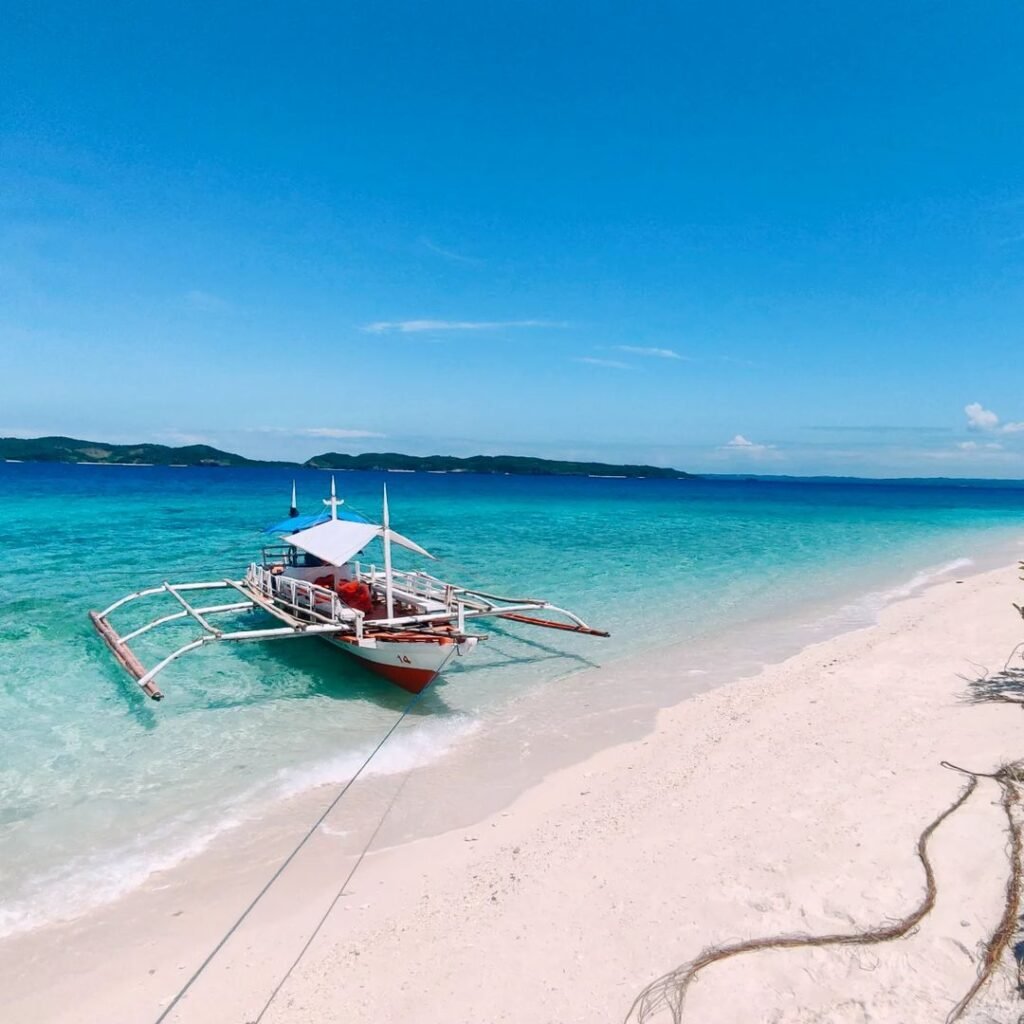 Tinalisayan Island