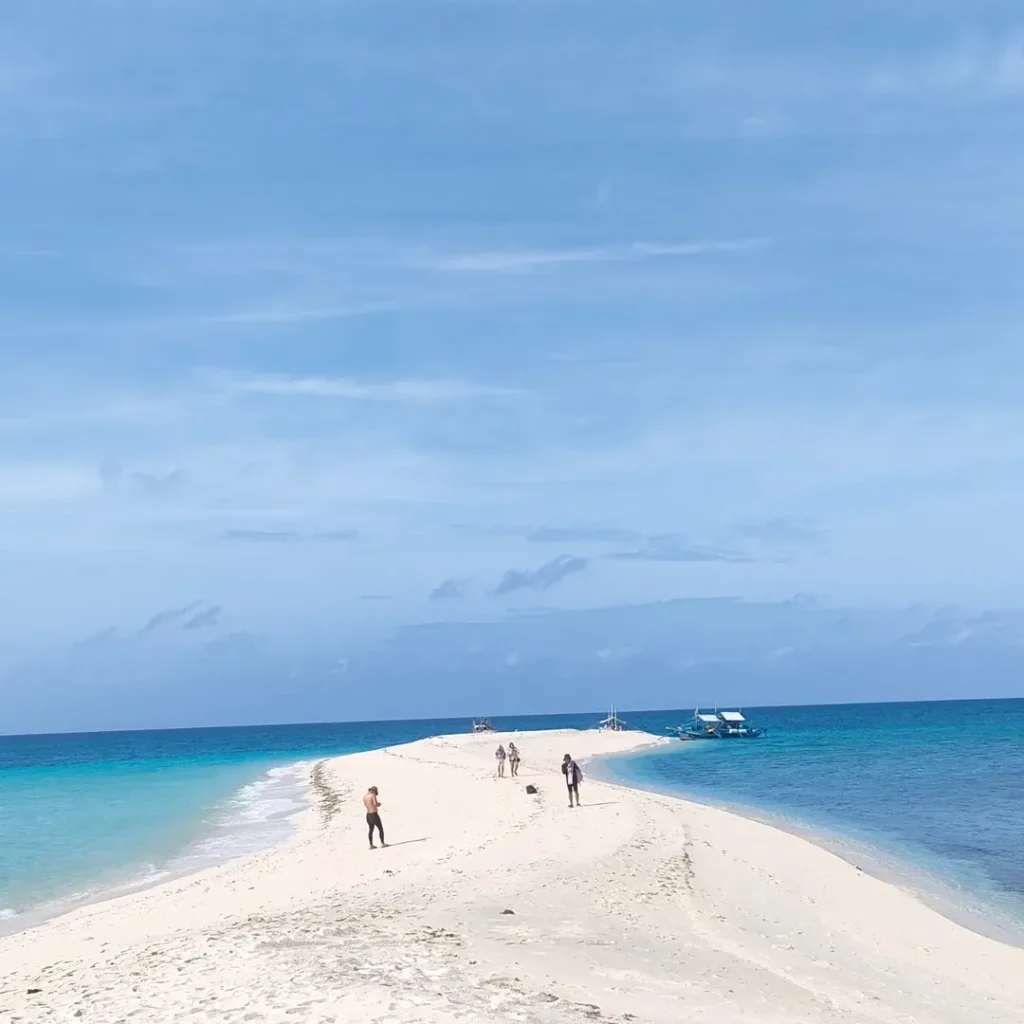Cresta de gallo island photo 2026