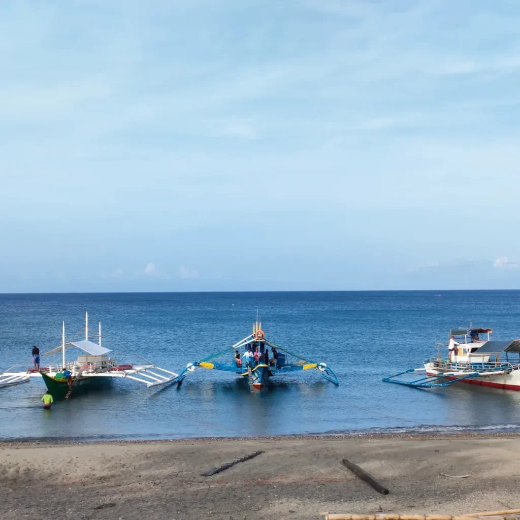 Cresta de gallo island photo 2026