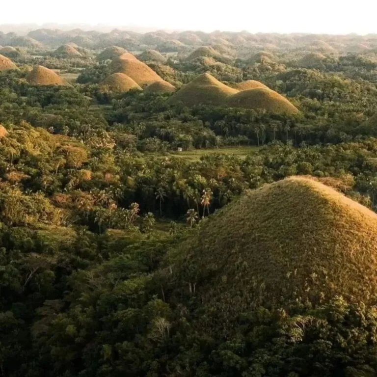 chocolate hills Bohol tourist spot