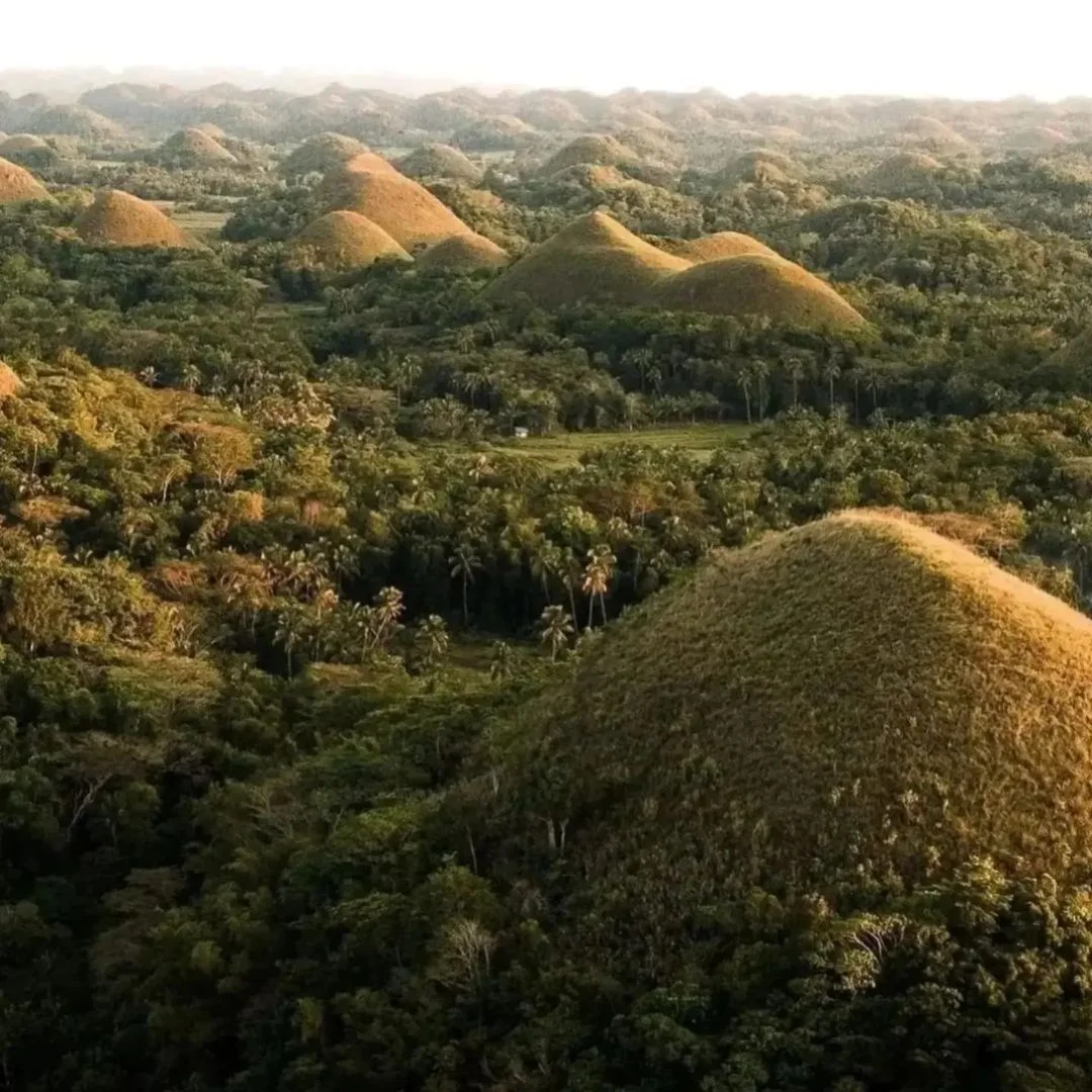 chocolate hills Bohol tourist spot
