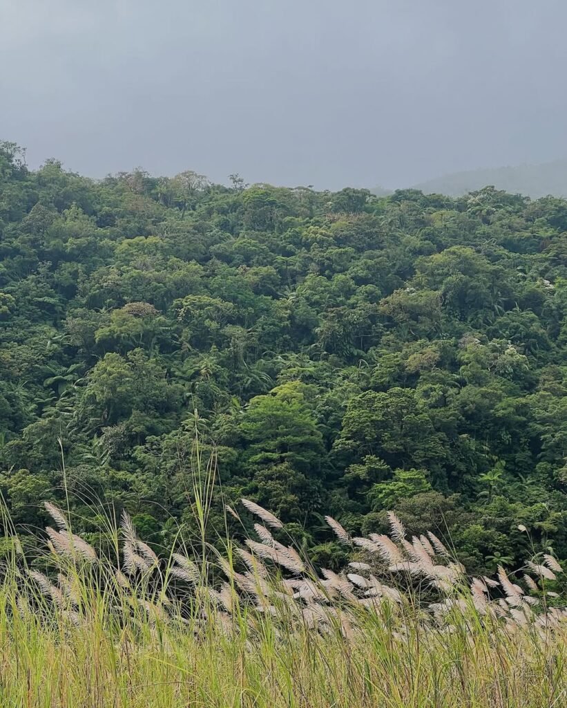 Mt. bulusan volcano photo 2026