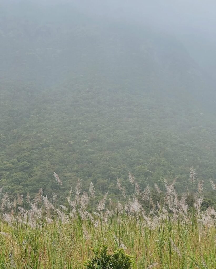 Mt. bulusan volcano photo 2026