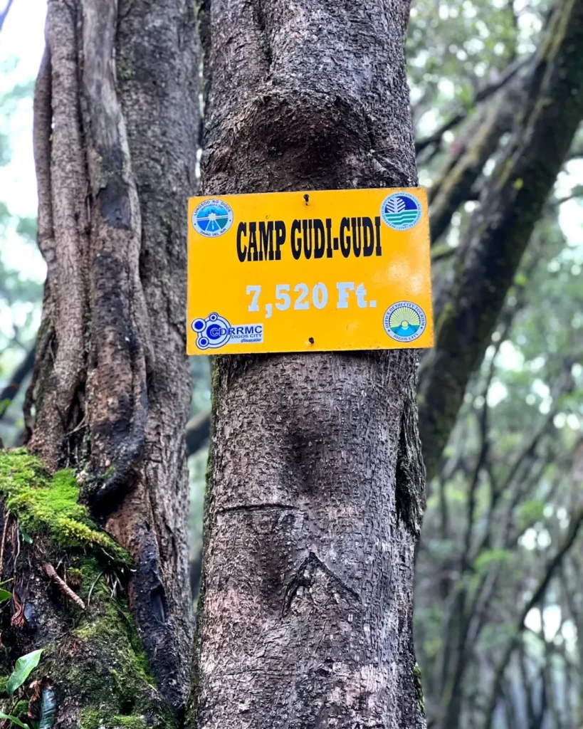 camp gudi-gudi Mt. Dulang Dulang photo 2026