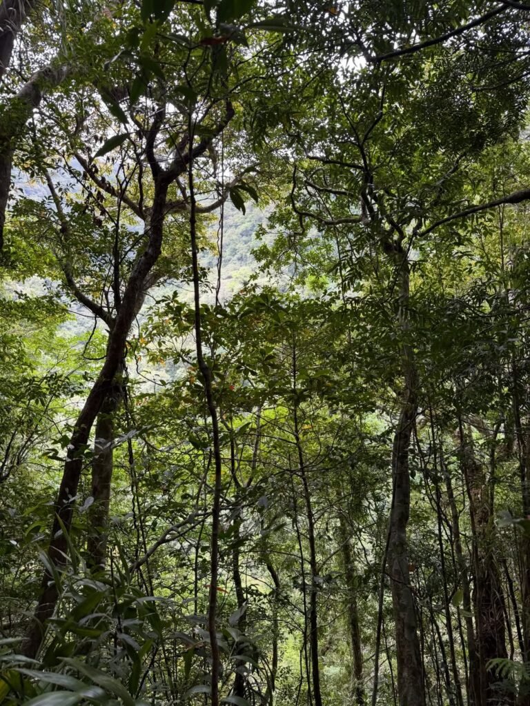 Mt. isarog photo 2026