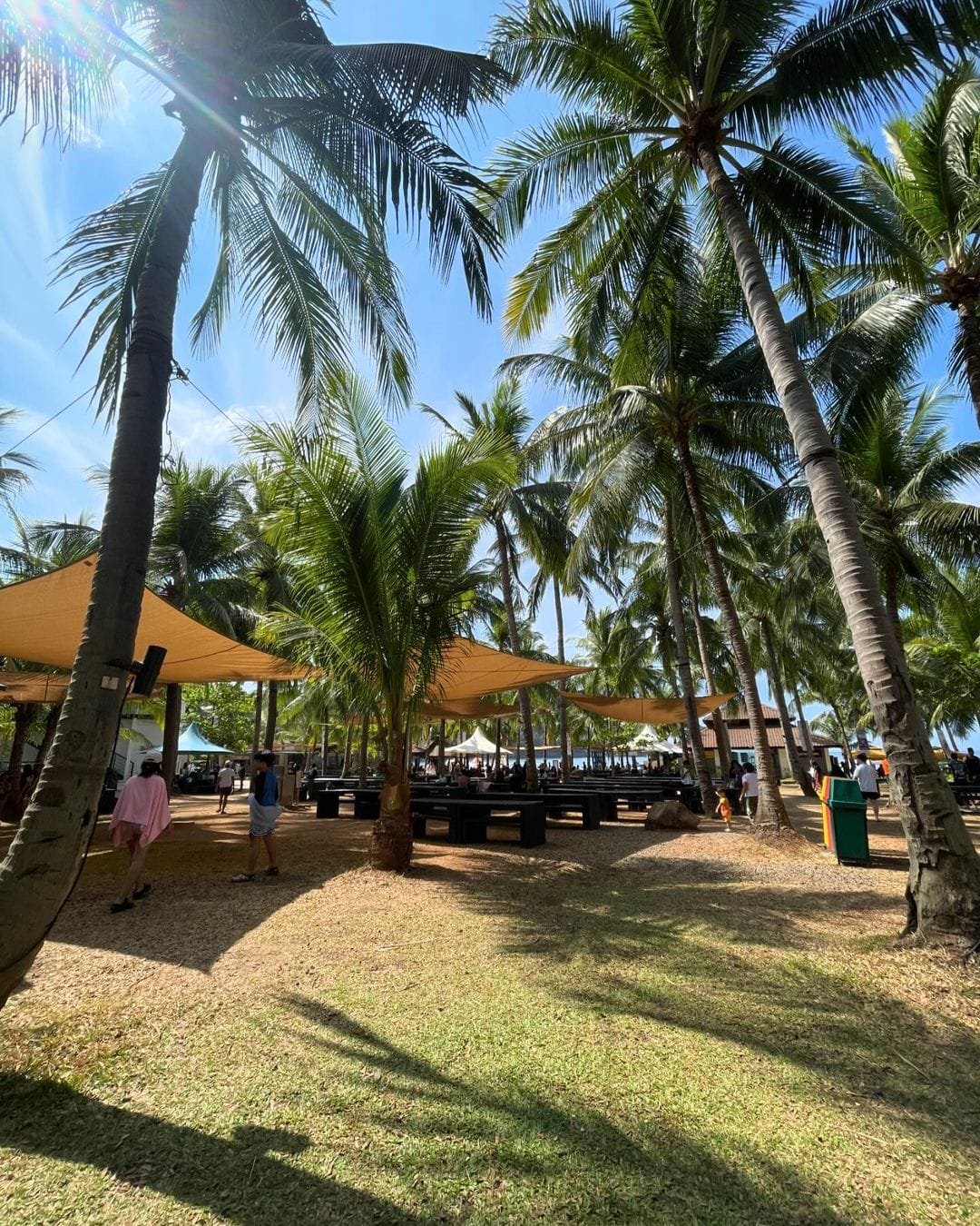 Calm cove shoreline at Camaya Coast Bataan with fine sand and palm trees along the waterfront