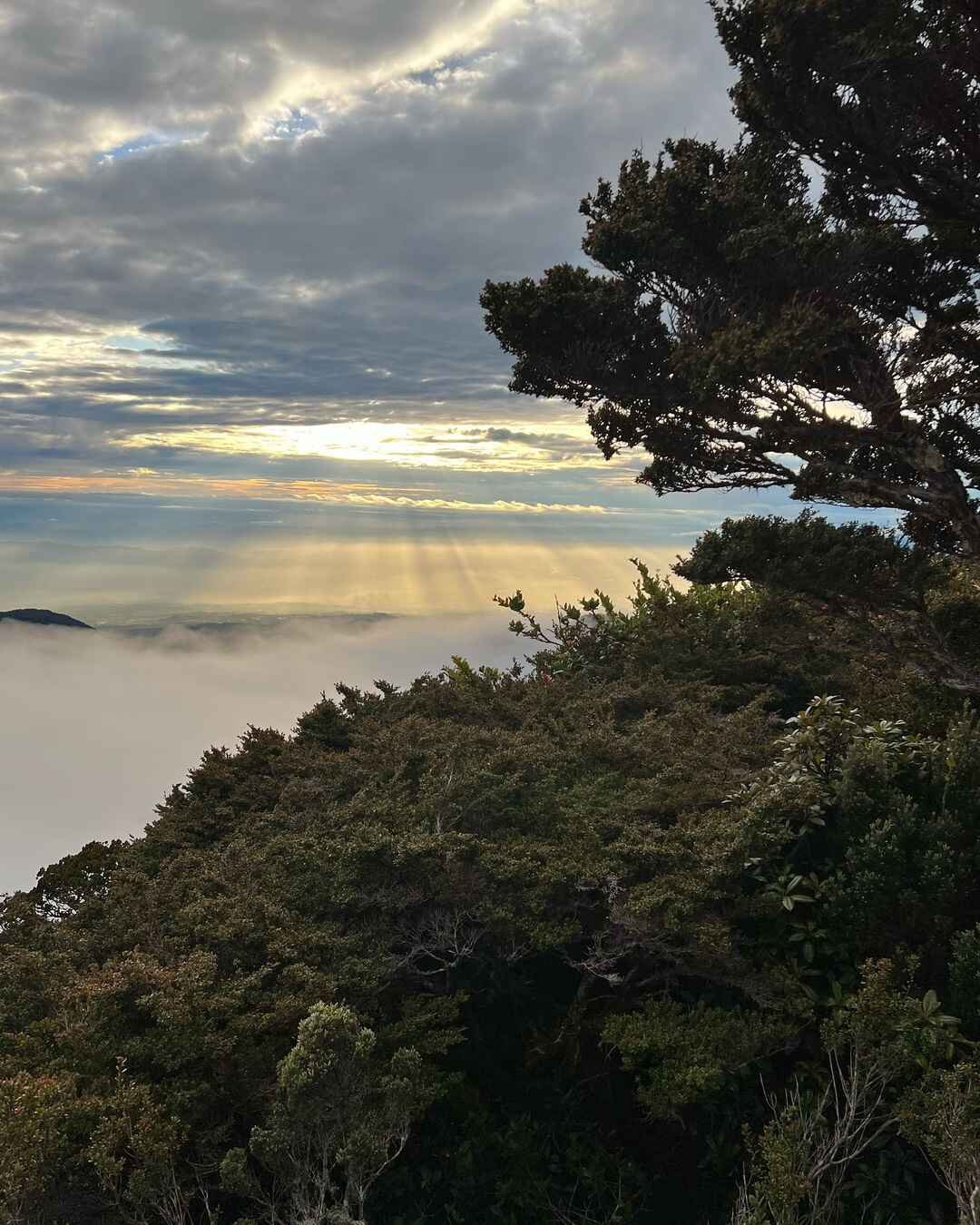 Mount dulang-dulang summit