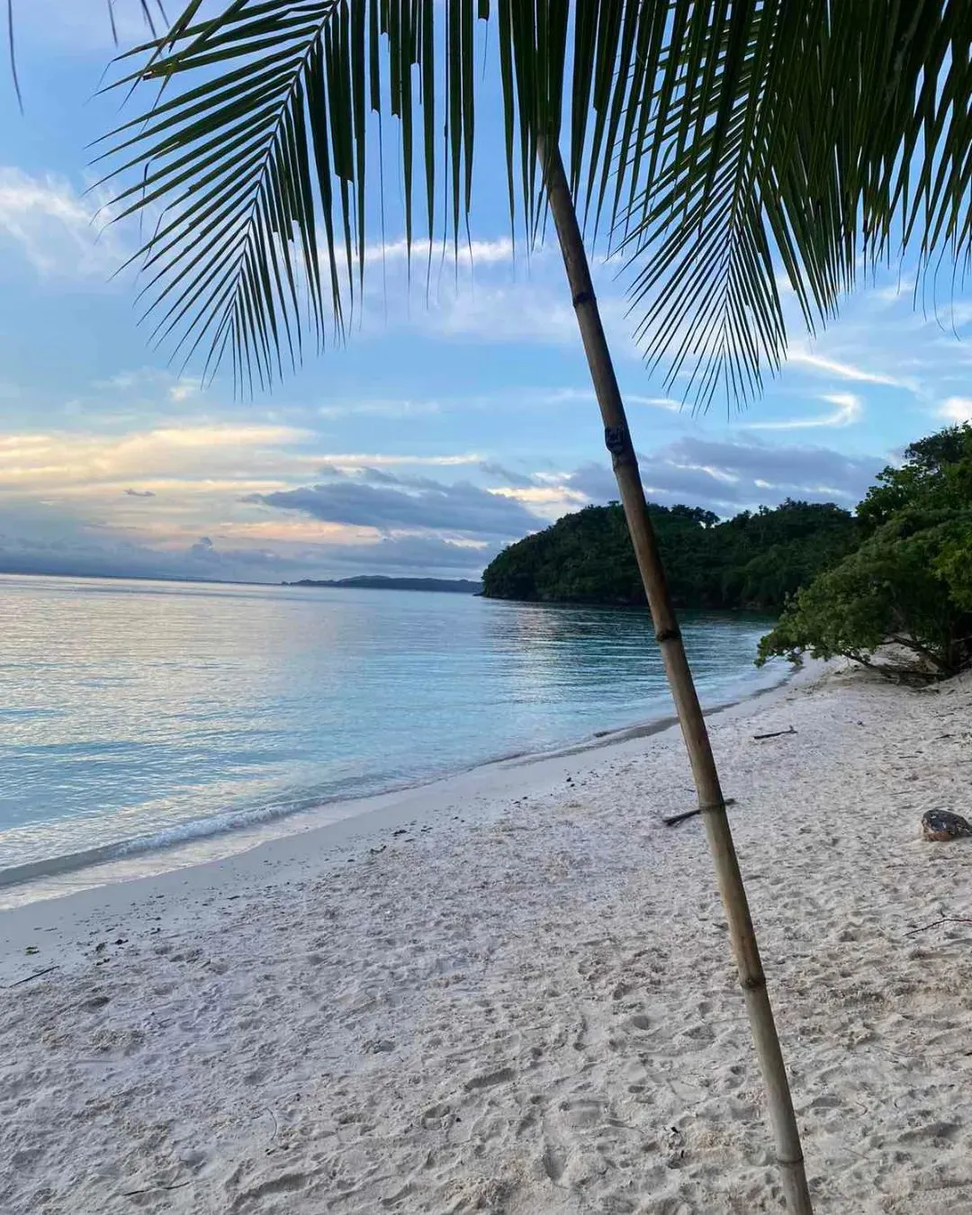 pink sand beach