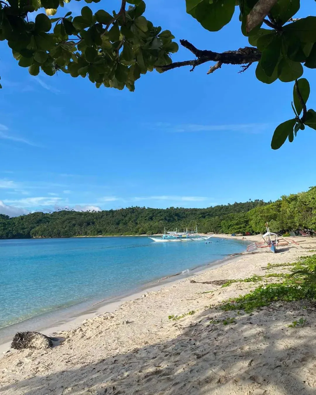 pink beach sorsogon