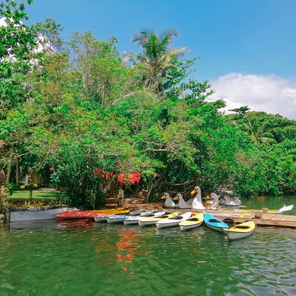 Lake Danao Camotes Island