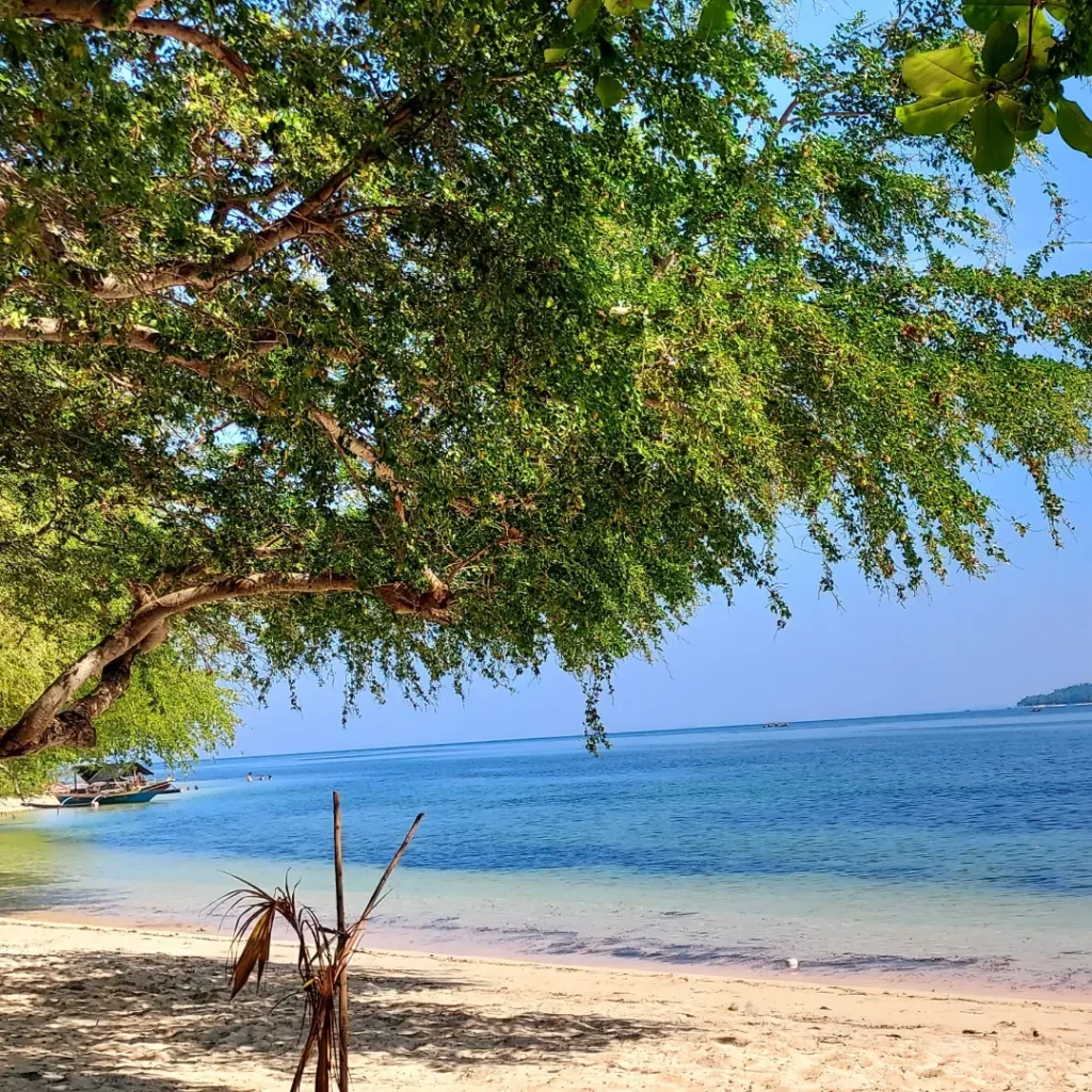 Magalawa island Star Fishg photo 2026