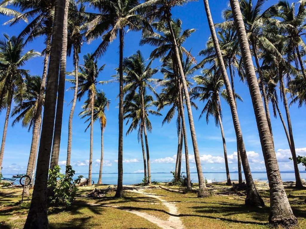 Maniwaya Island photo 2026