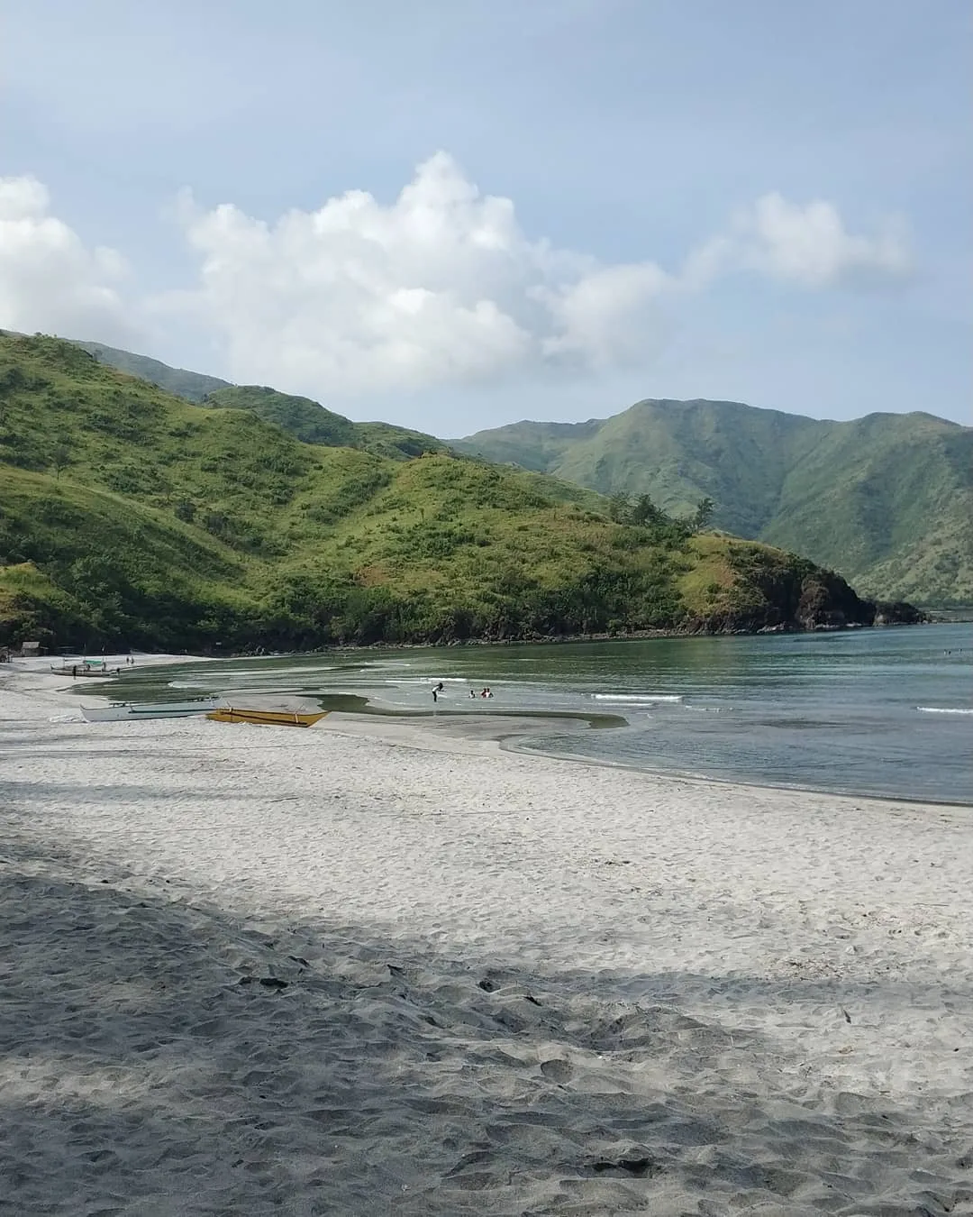 Open-air camping area with tents pitched under tall agoho trees at Nagsasa Cove Zambales