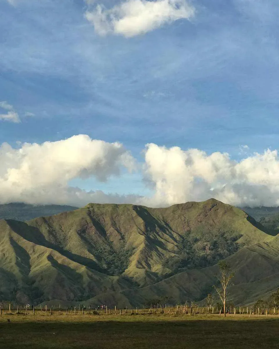Rolling green grassland of Communal Ranch Bukidnon with Mt. Kulago visible in the distance