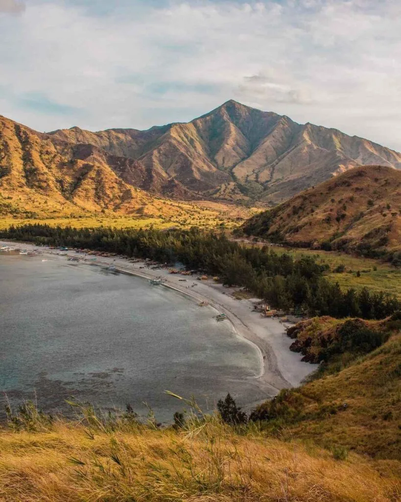 Nagsasa Cove volcanic ash-gray shoreline backed by dense agoho trees and a mountain range in Zambales Philippines