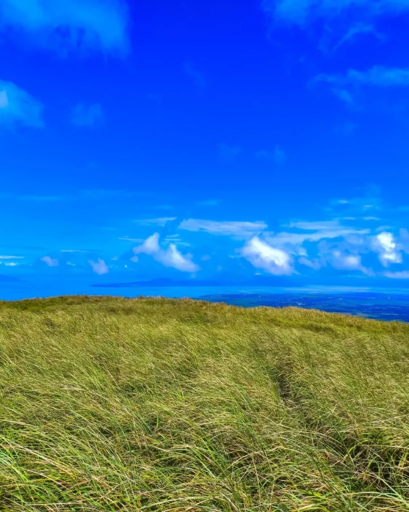 mt. kalisungan photo 2026
