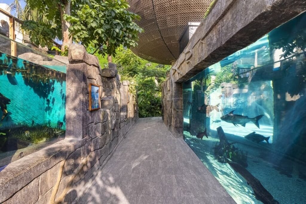 cebu ocean park photos