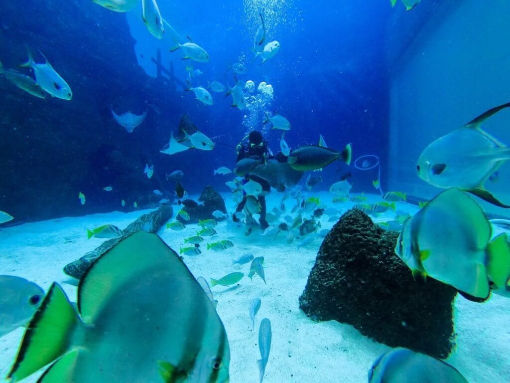 cebu ocean park photos