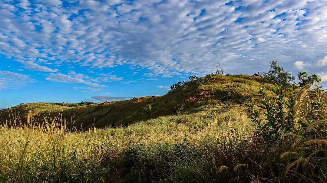 Narrow cogon grass trail winding up open ridgeline on Mt. Kapigpiglatan with no tree cover
