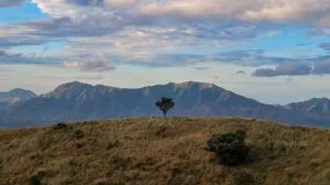 Hiker standing on the open grassland summit of Mt. Kapigpiglatan with a 360-degree view of Zambales and the West Philippine Sea