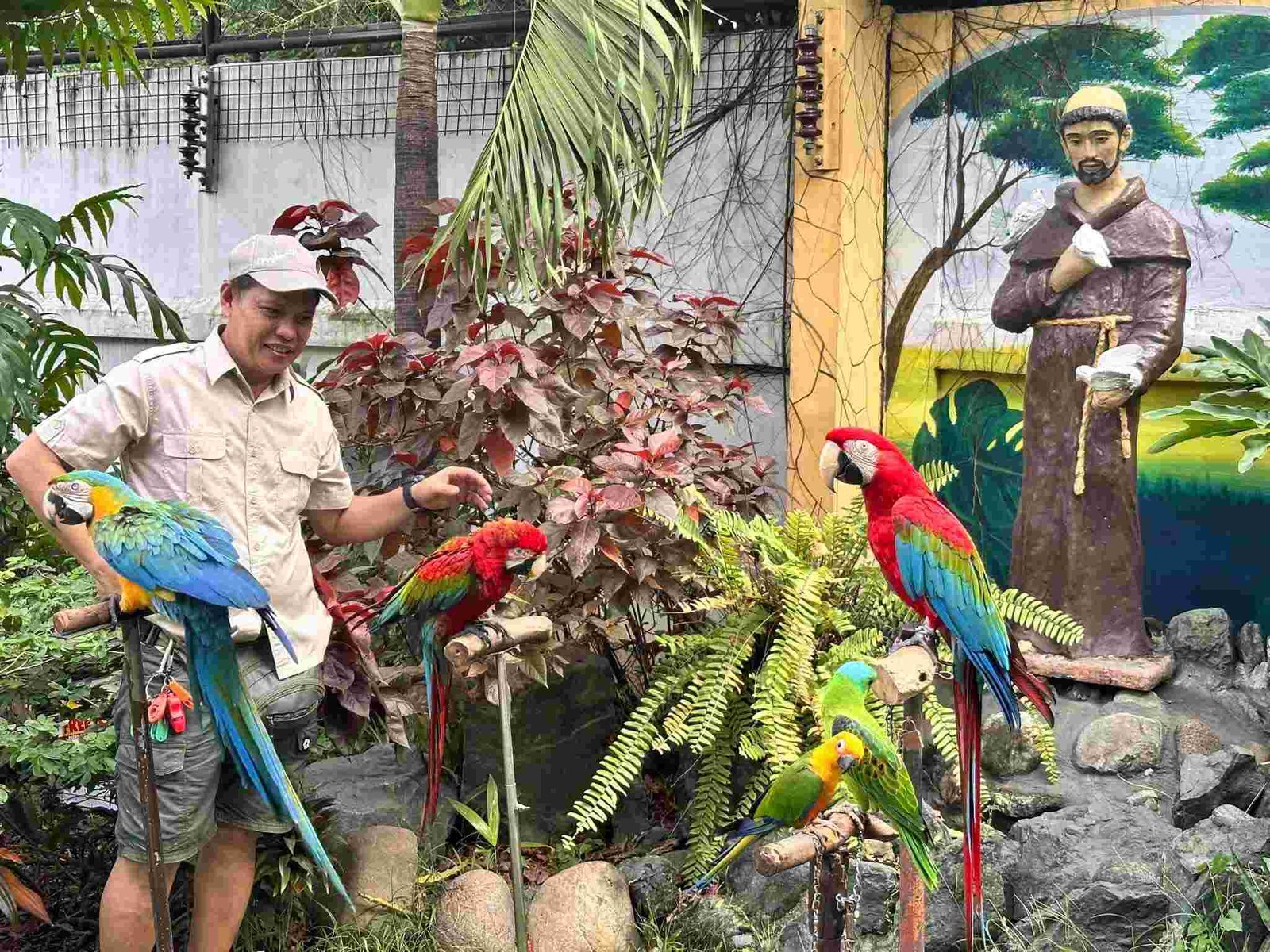 manila zoo animals