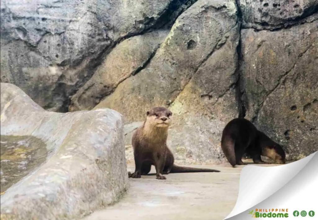 philippine biodome photos
