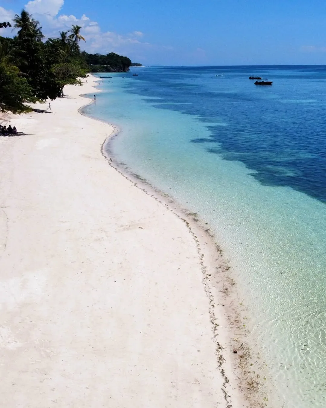 Wide view of Alona Beach shoreline with outrigger boats lined along the white sand and resort buildings in the background