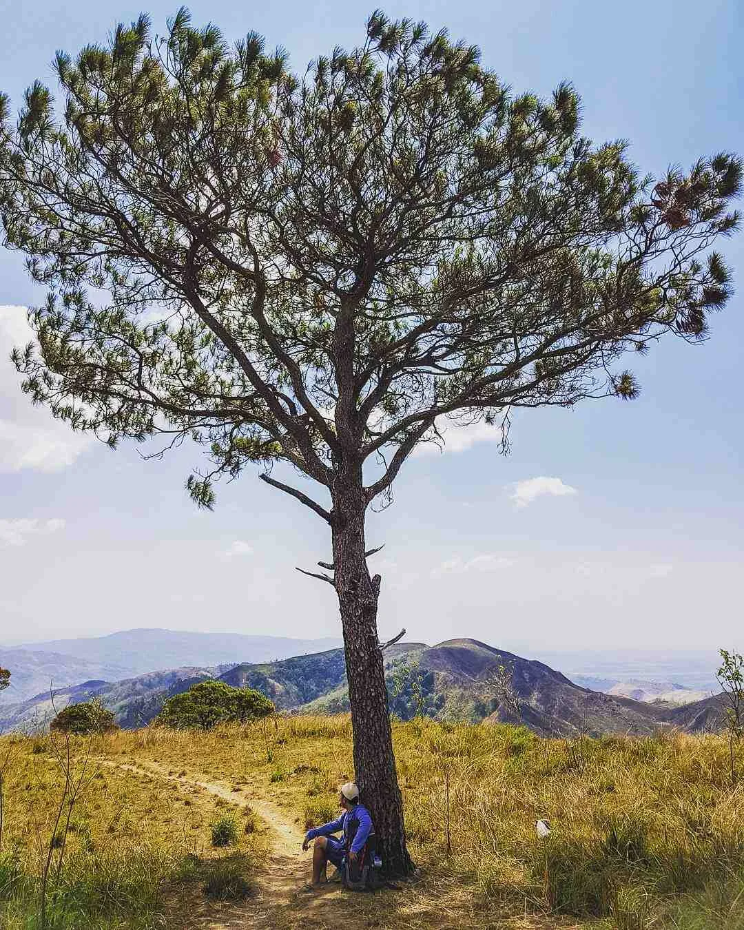 Everything you need to climb mt. 387 in Nueva Ecija — trail difficulty, fees, itinerary, Aloha Falls traverse, and honest first-hand tips to plan your DIY hike.