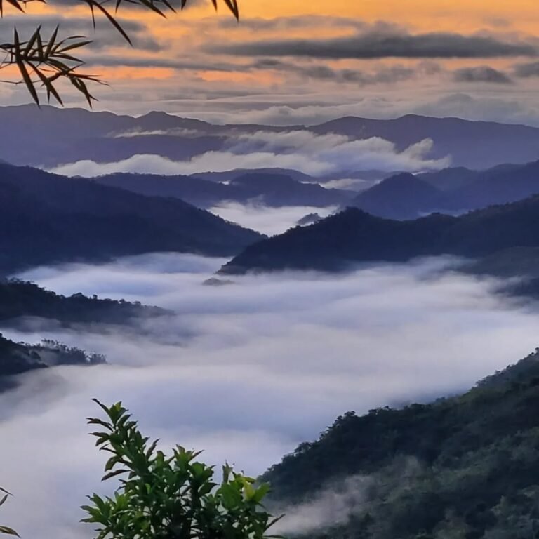 mt. maynuba sea of clouds