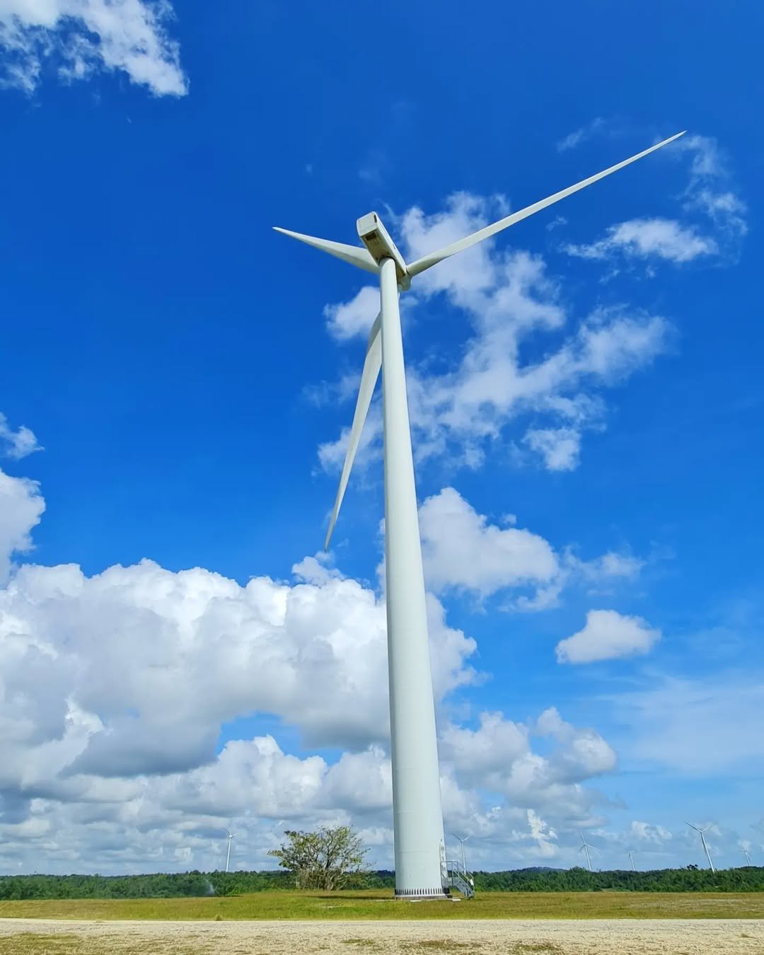 Guimaras windmill farm