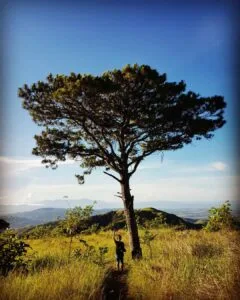 Everything you need to climb mt. 387 in Nueva Ecija — trail difficulty, fees, itinerary, Aloha Falls traverse, and honest first-hand tips to plan your DIY hike.