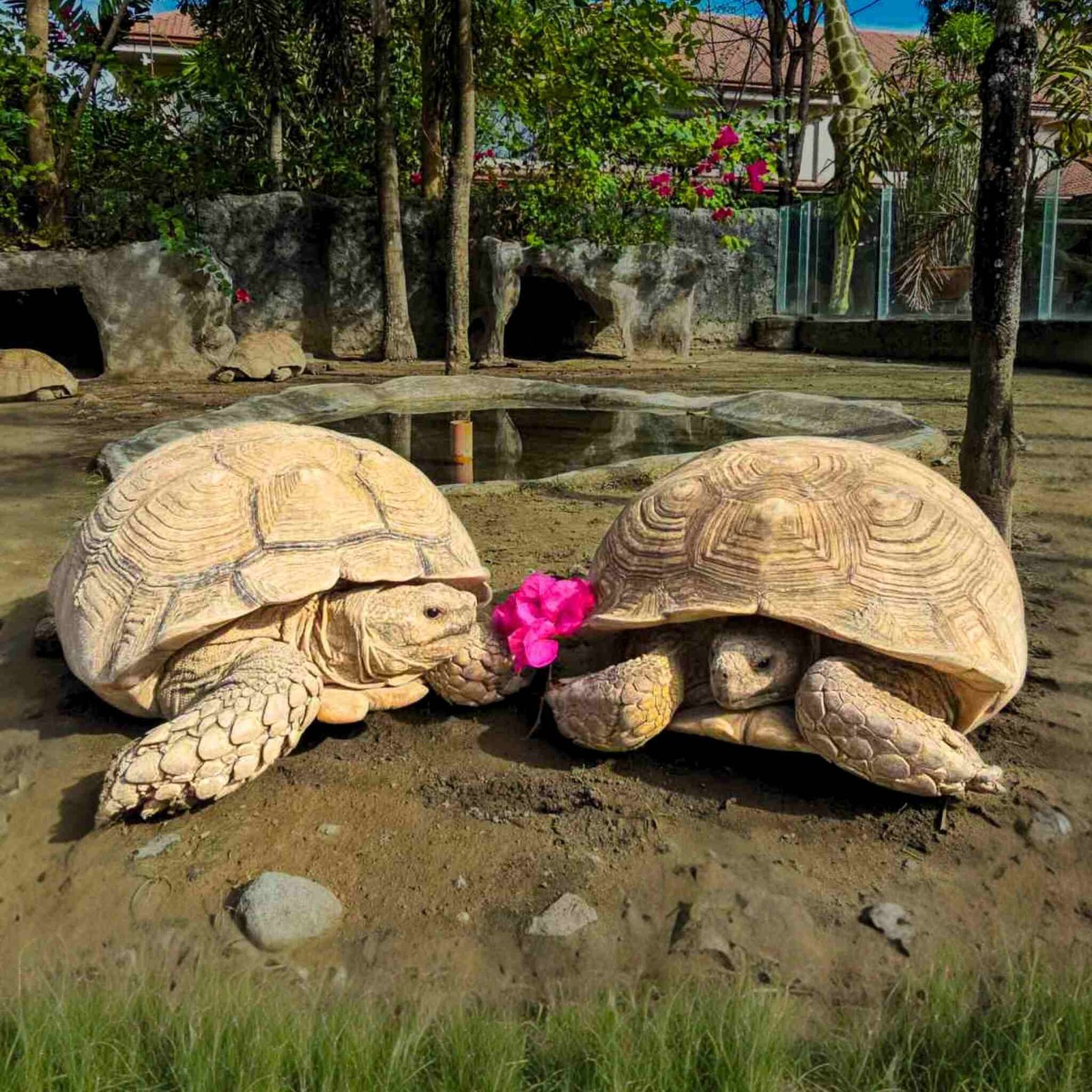 clark safari and adventure park photos