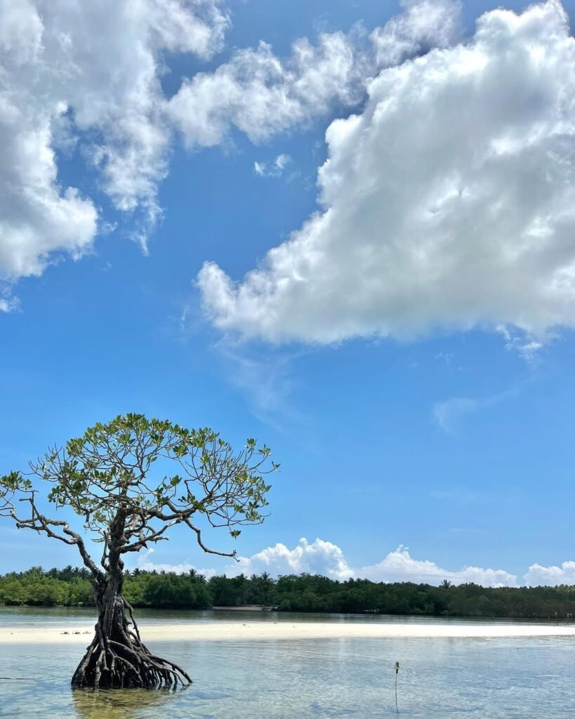 cagbalete island 2026 photo