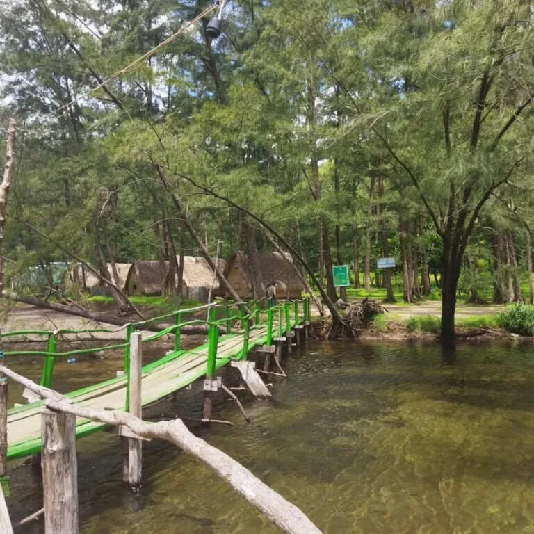 Anawangin cove island