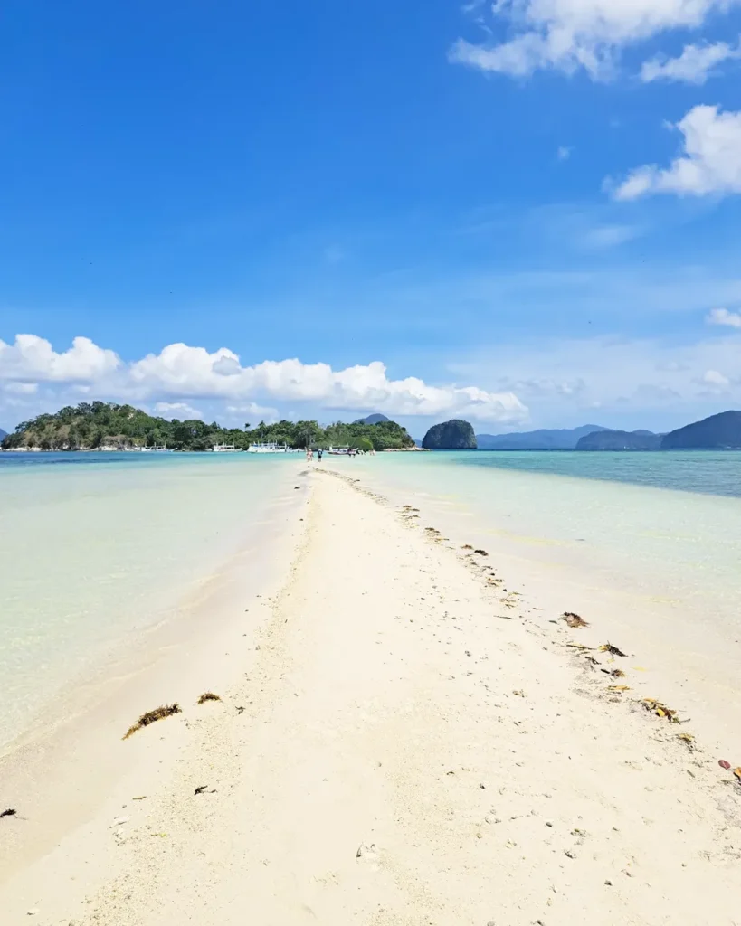 Snake Island el nido