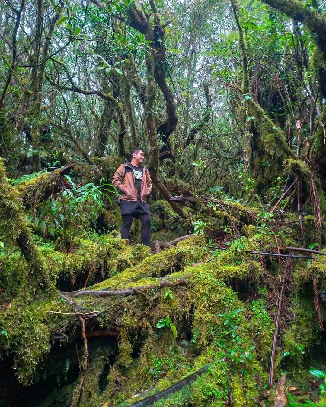 mt isarog bicol tourist spot