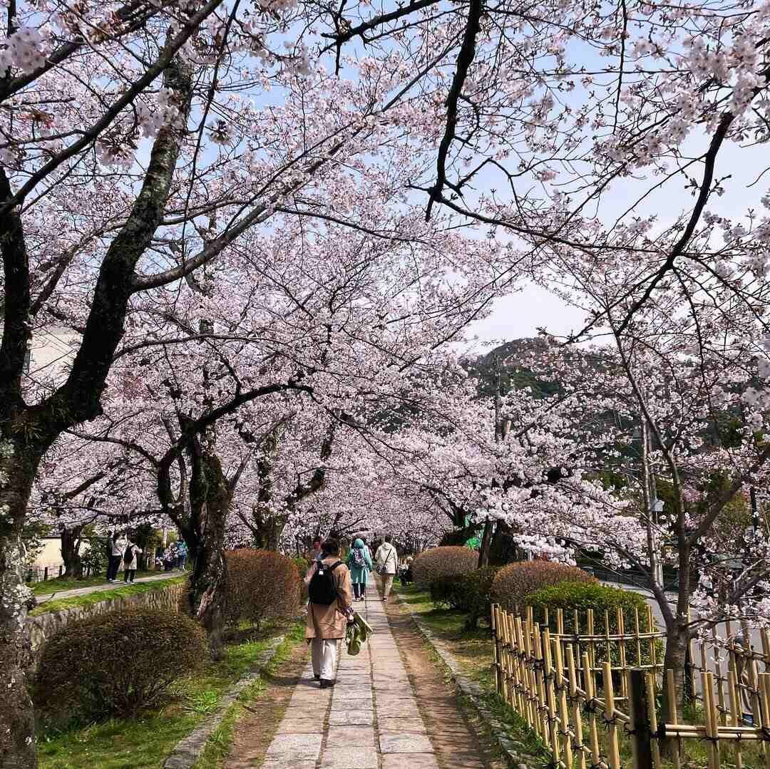 Tokyo Japan Best places to visit in spring