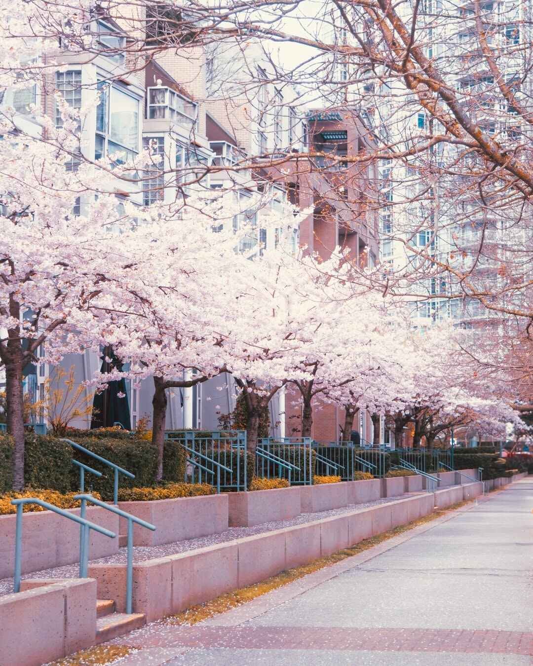 Vancouver Canada