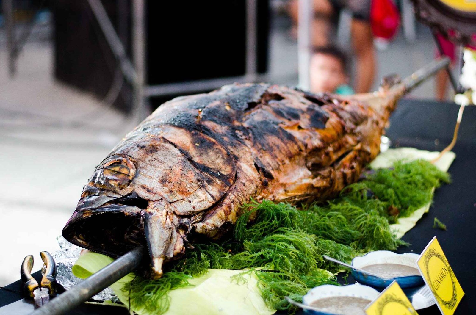 Tuna Festival