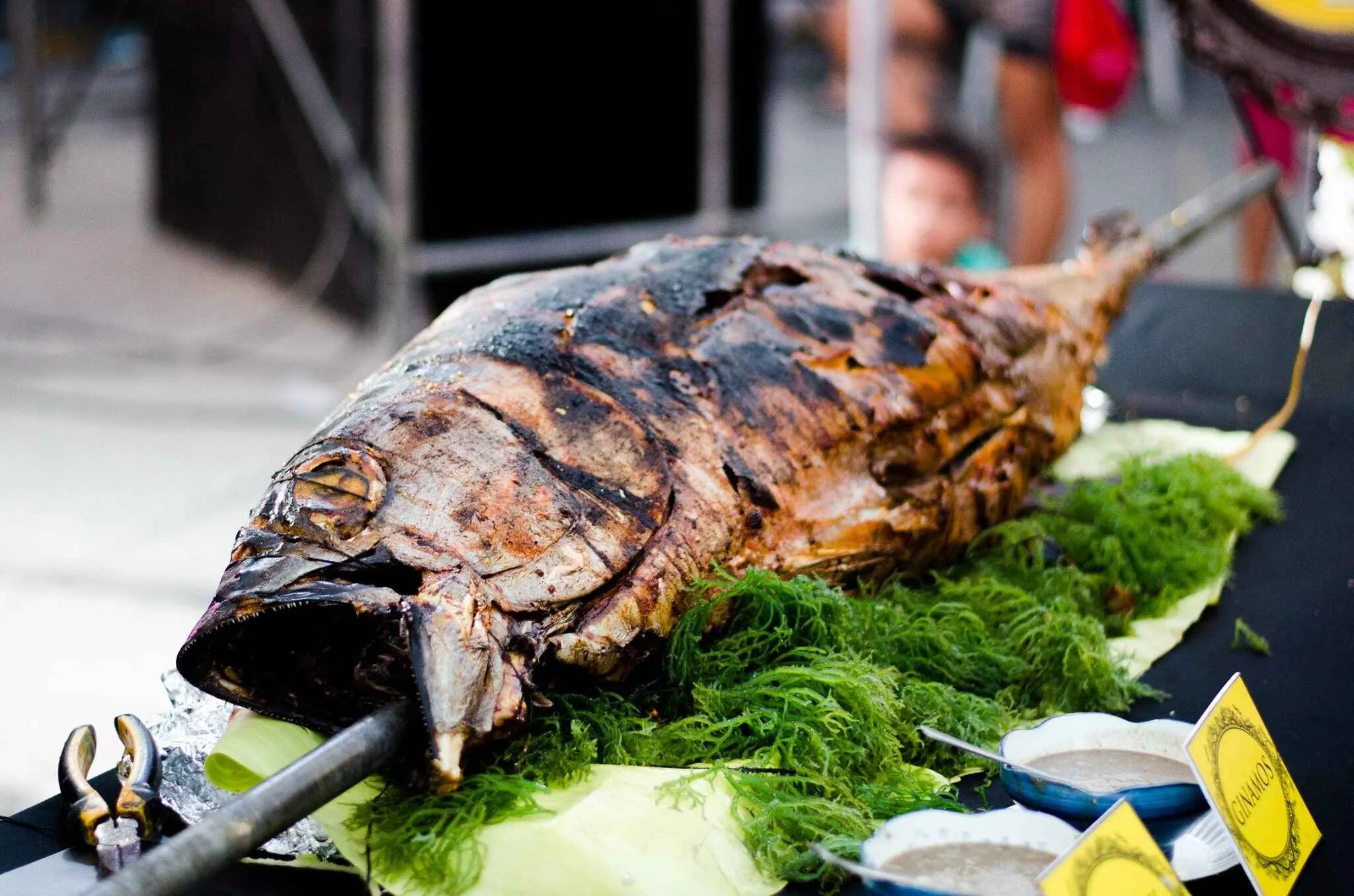 Tuna Festival