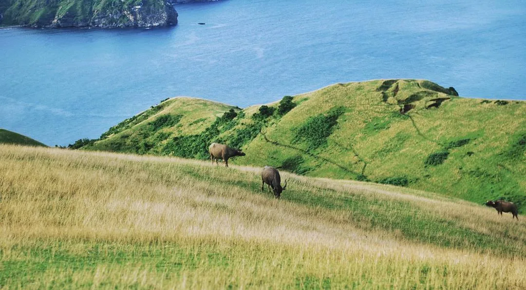 Rakuh a Payaman (Marlboro Country)