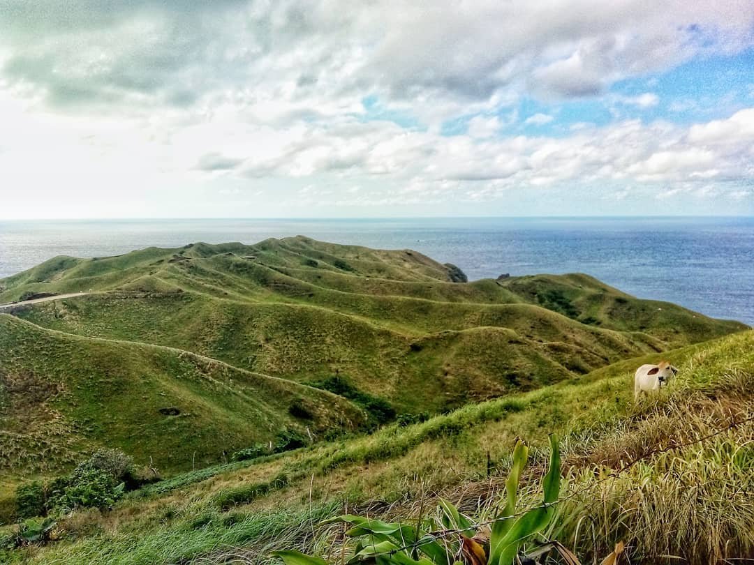 Vayang Rolling Hills