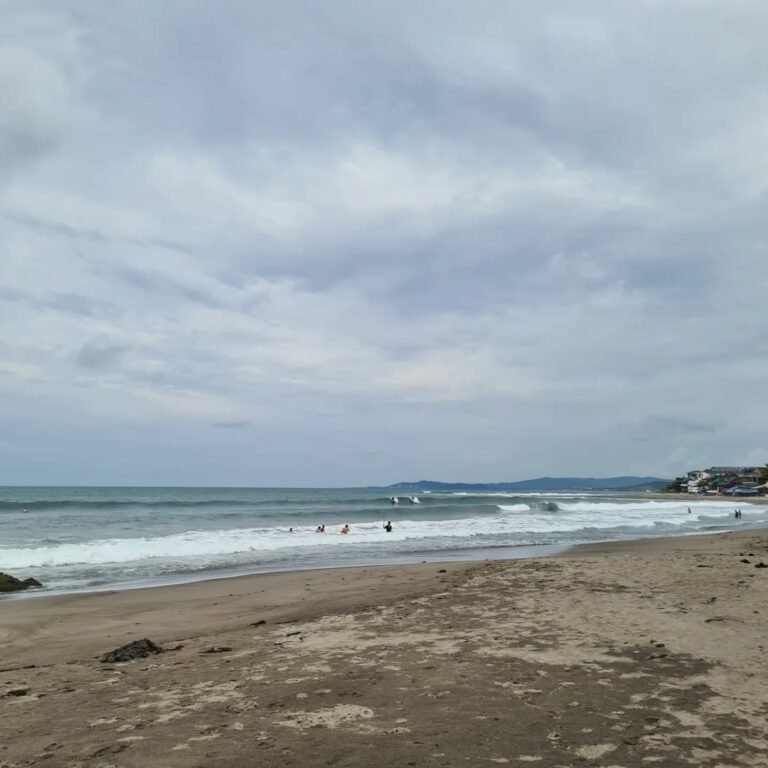 elyu la union